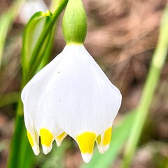 23-03-13 13-48-09 4861